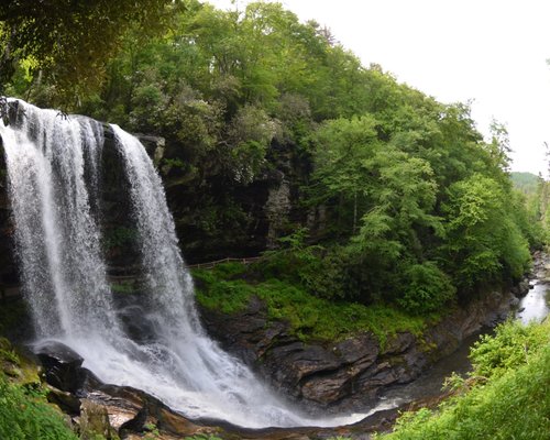 THE BEST 10 Bubble Tea near Linville Falls, NC - Last Updated September  2023 - Yelp