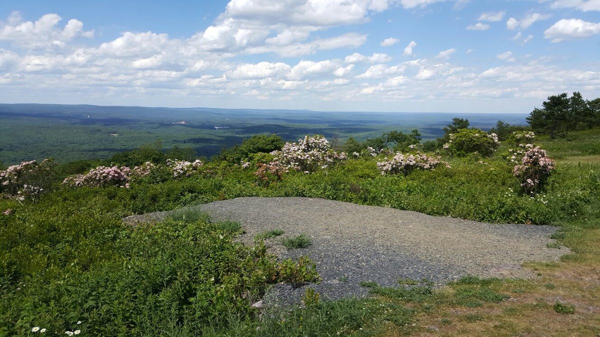 Big Pocono State Park Map Big Pocono State Park (Tannersville) - All You Need To Know Before You Go