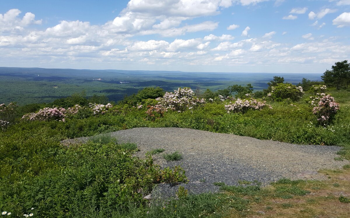 Big Pocono State Park Trail Map Big Pocono State Park Tannersville 2022 What To Know Before You Go With Photos Tripadvisor