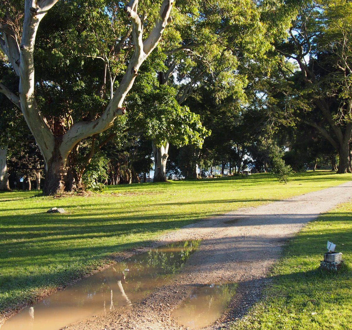 dunwich-cemetery-north-stradbroke-island-tripadvisor