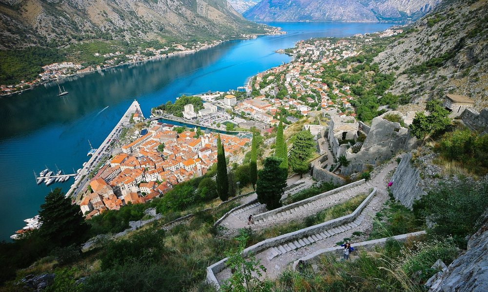 Kotor баг с травой