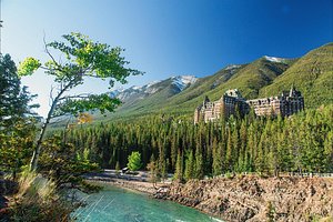 Fairmont Banff Springs in Banff, image may contain: Tree, Slope, Vegetation, Wilderness