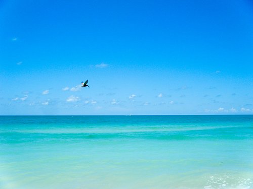 Marco Island Florida - Guide to Vacations & Attractions
