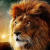 Celso_L_