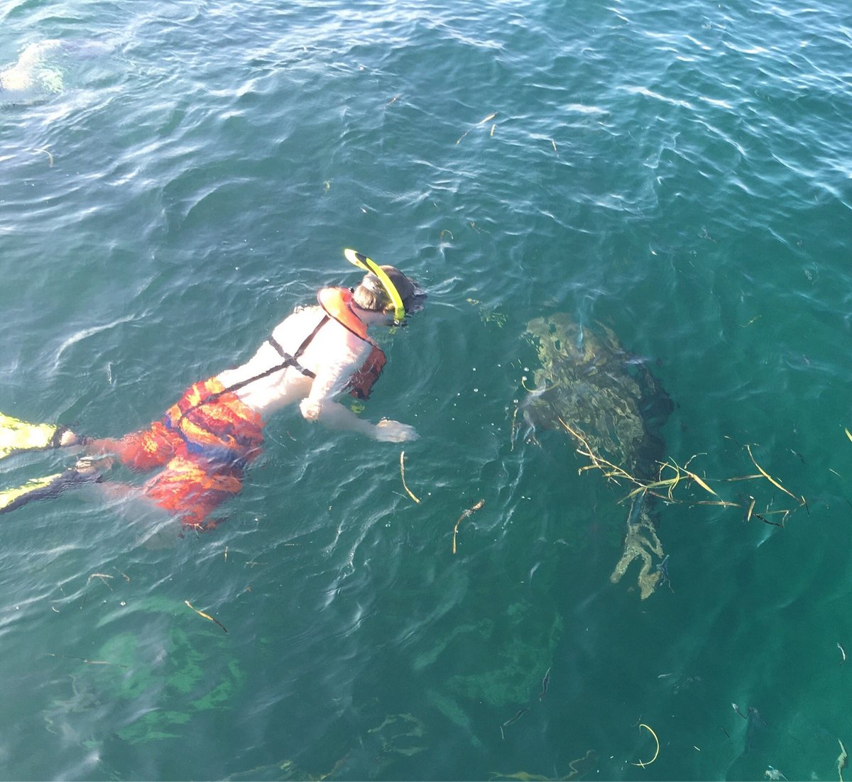 Looe Key (Florida Keys National Marine Sanctuary) - ATUALIZADO 2022 O