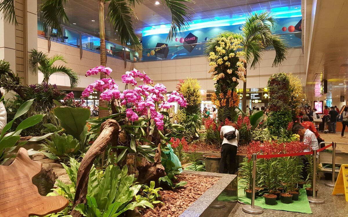 Orchid Garden & Koi Pond, Сингапур: лучшие советы перед посещением -  Tripadvisor