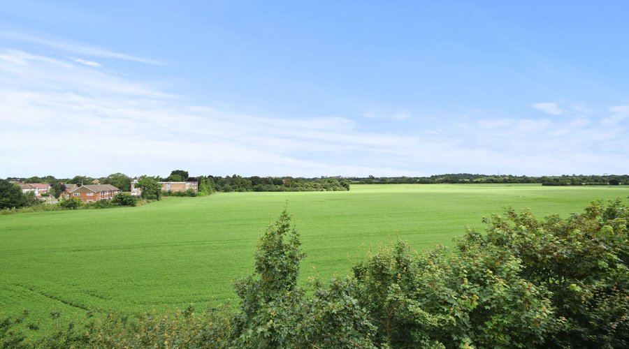 View at the rear of the property.