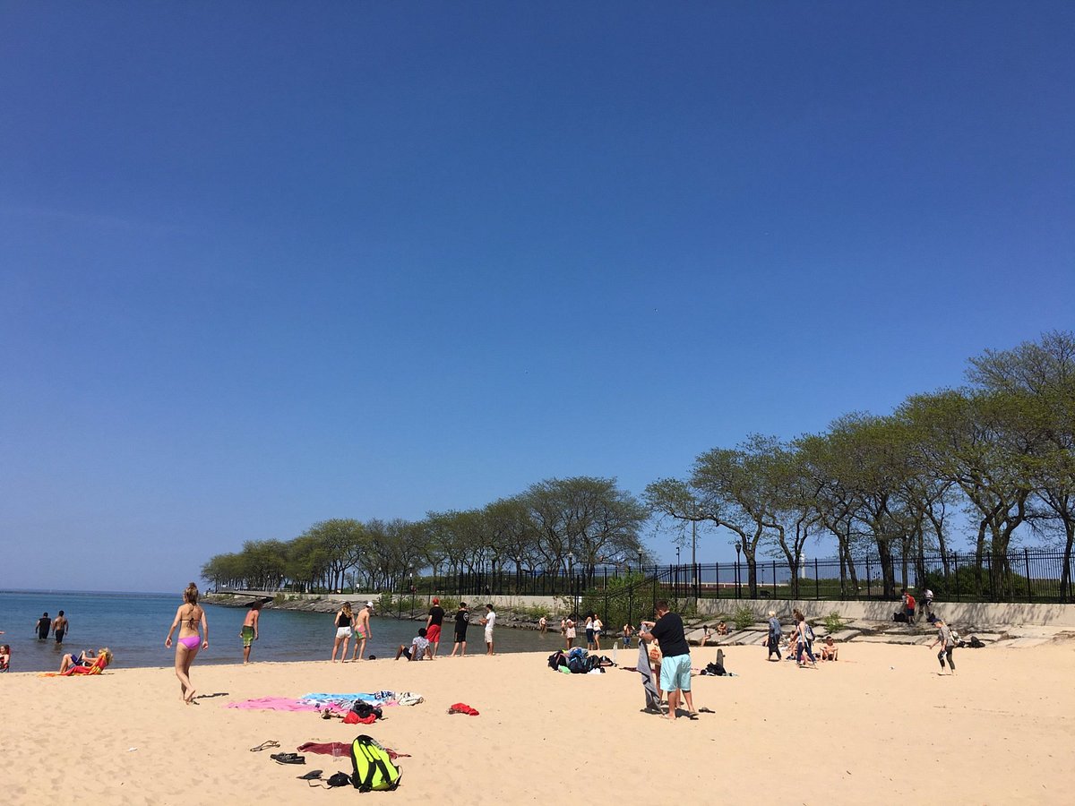 North Avenue Beach in Chicago - Beachside for Bums and Athletes