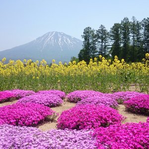 21年 倶知安町で絶対外さないおすすめ観光スポットトップ10 定番から穴場まで トリップアドバイザー