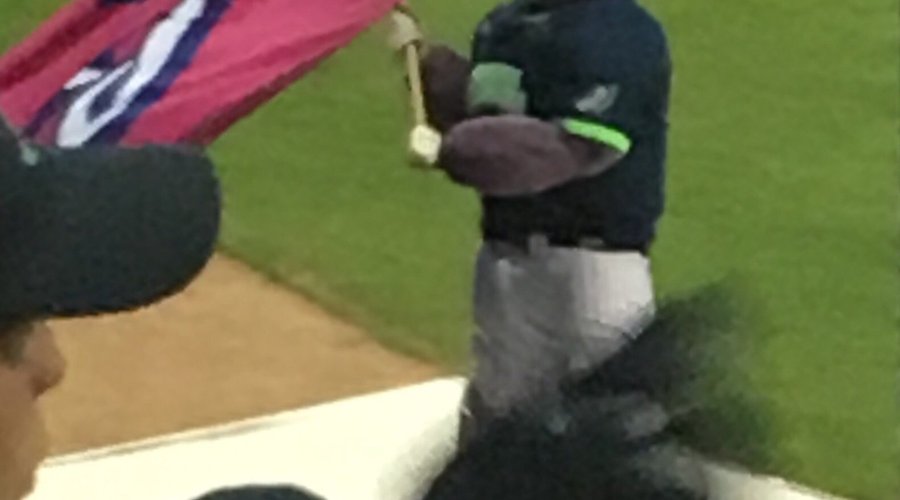 Jamestown jammers baseball.