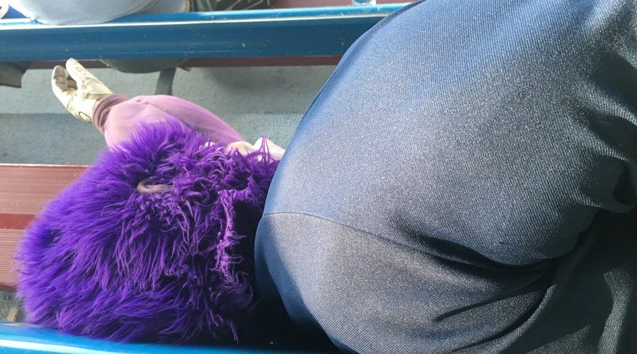 Jamestown jammers baseball.