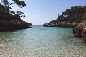 Pool & Beach