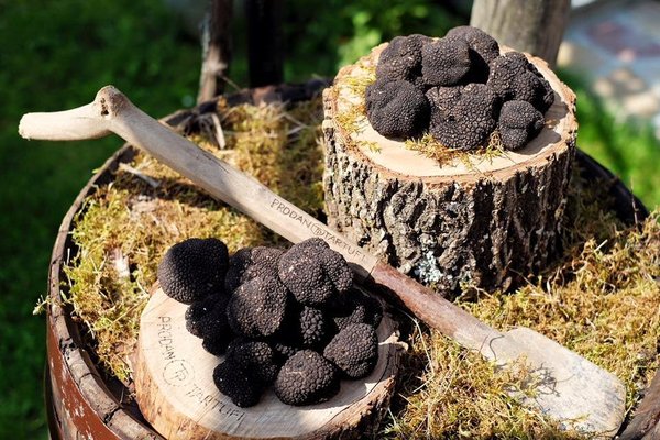 black-summer-truffles.jpg?w=600\u0026h=600\u0026s=1