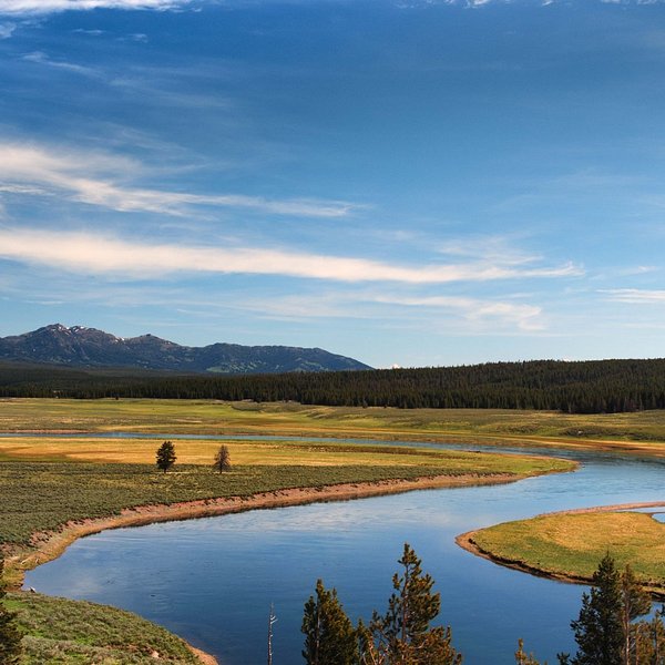 Blacktail Plateau Drive (Yellowstone National Park) - All You Need to ...