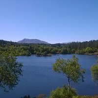 View of Llyn Elsi