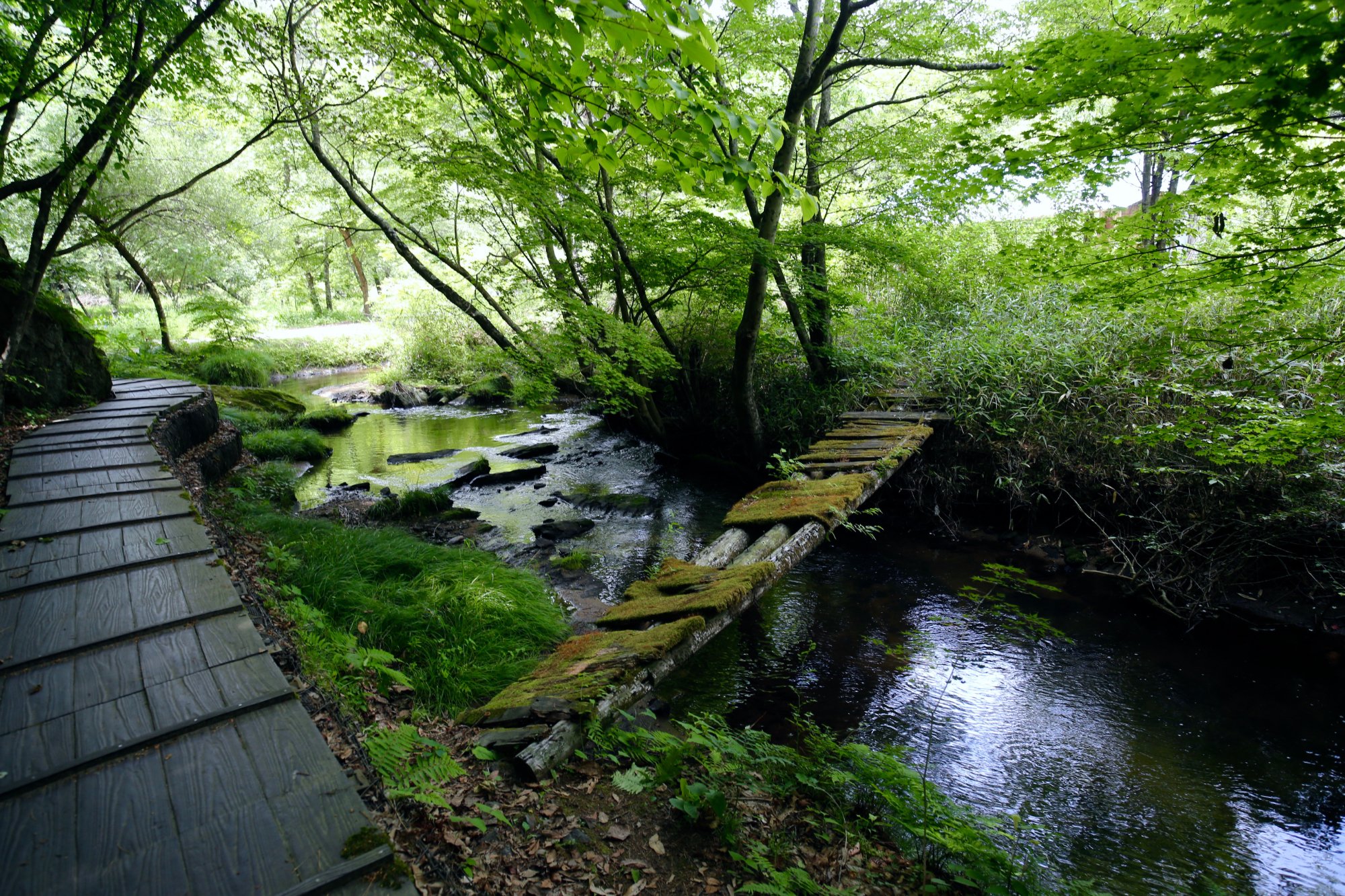 Takigawa Valley (2025) - All You Need to Know BEFORE You Go