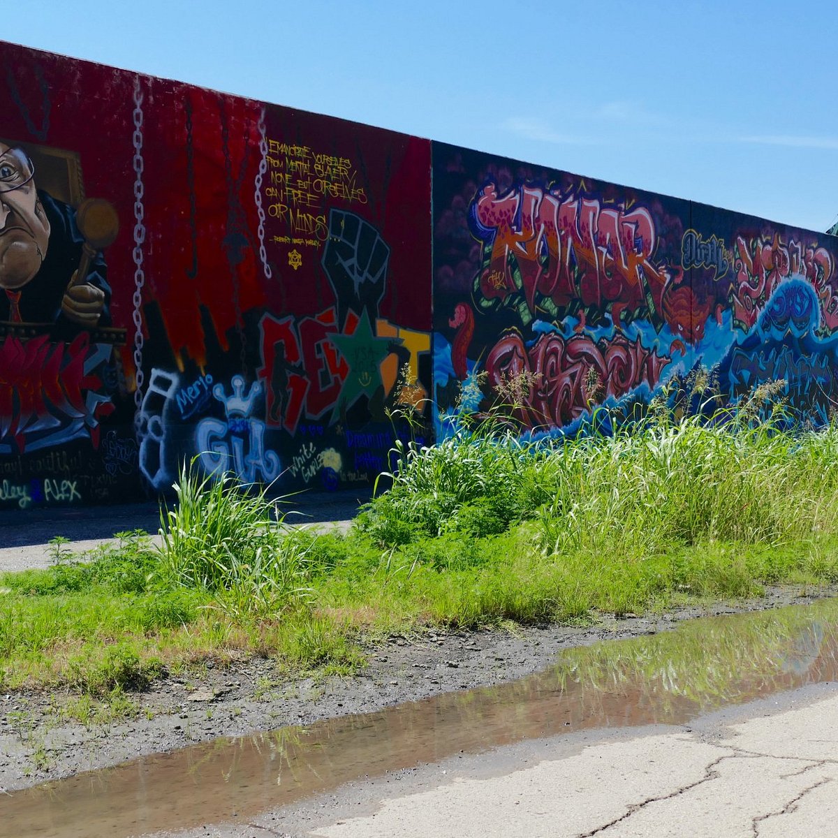 Les super nounours - Page 2 Graffiti-wall-reflection