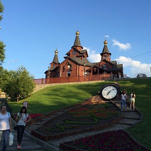 Поля тюльпанов и аллея сакуры в Харькове: опубликованы фото и видео