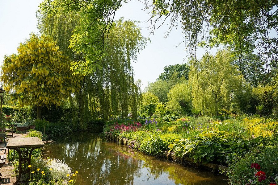 Westonbury Mill Water Gardens image