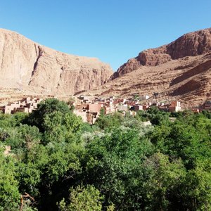 View from terrace