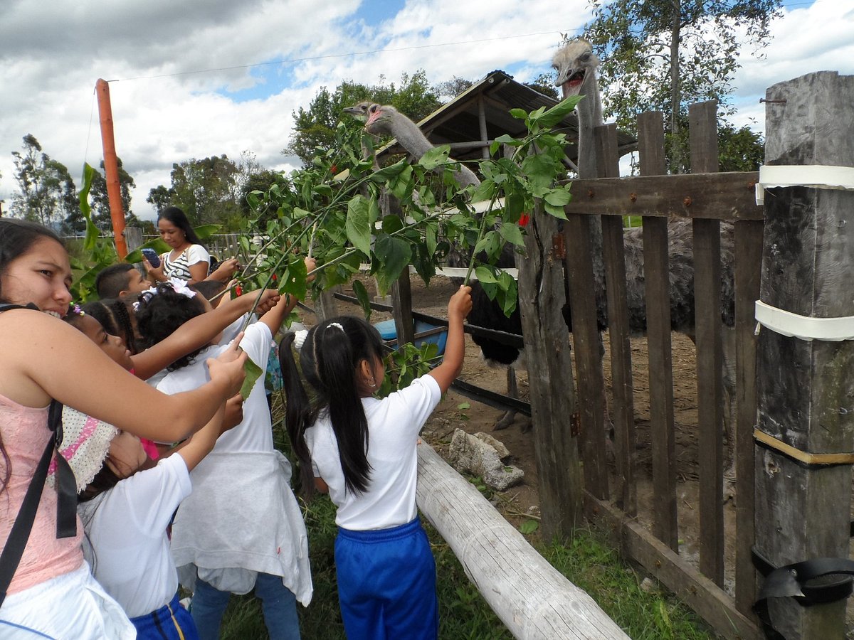 Granja Integral Mamá Lombriz (Popayán) - Qué SABER antes de ir (ACTUALIZADO  2024) - Tripadvisor