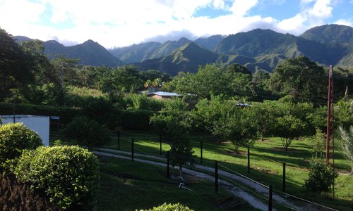 Vista desde el comedor.