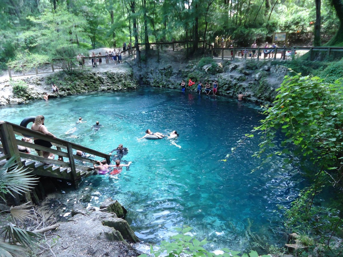 Madison Blue Springs State Park (Lee) All You Need to Know BEFORE You Go