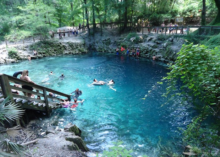 MADISON BLUE SPRINGS STATE PARK (Lee) - All You Need to Know BEFORE You Go
