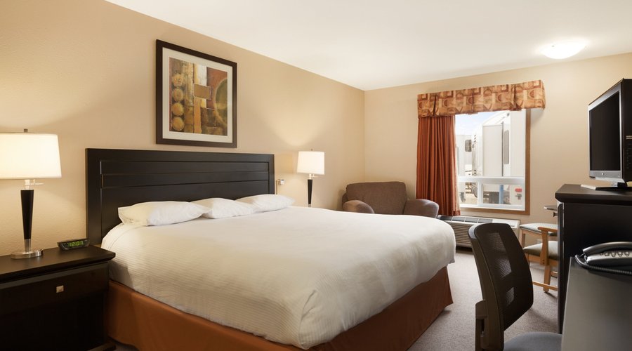 Single Queen Room