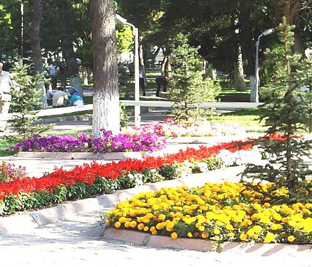 Gultepe Parkı image