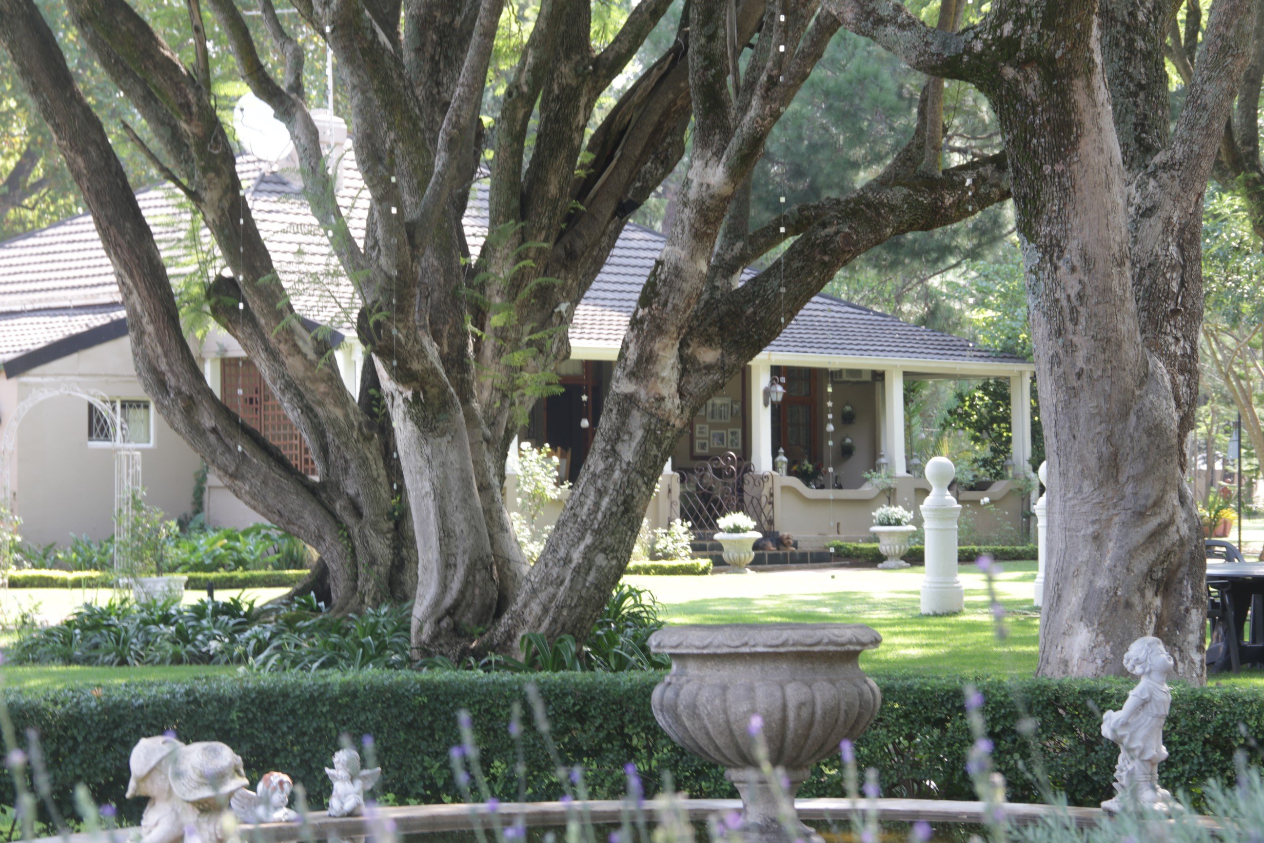 Hotel photo 11 of Farmhouse Lodge.