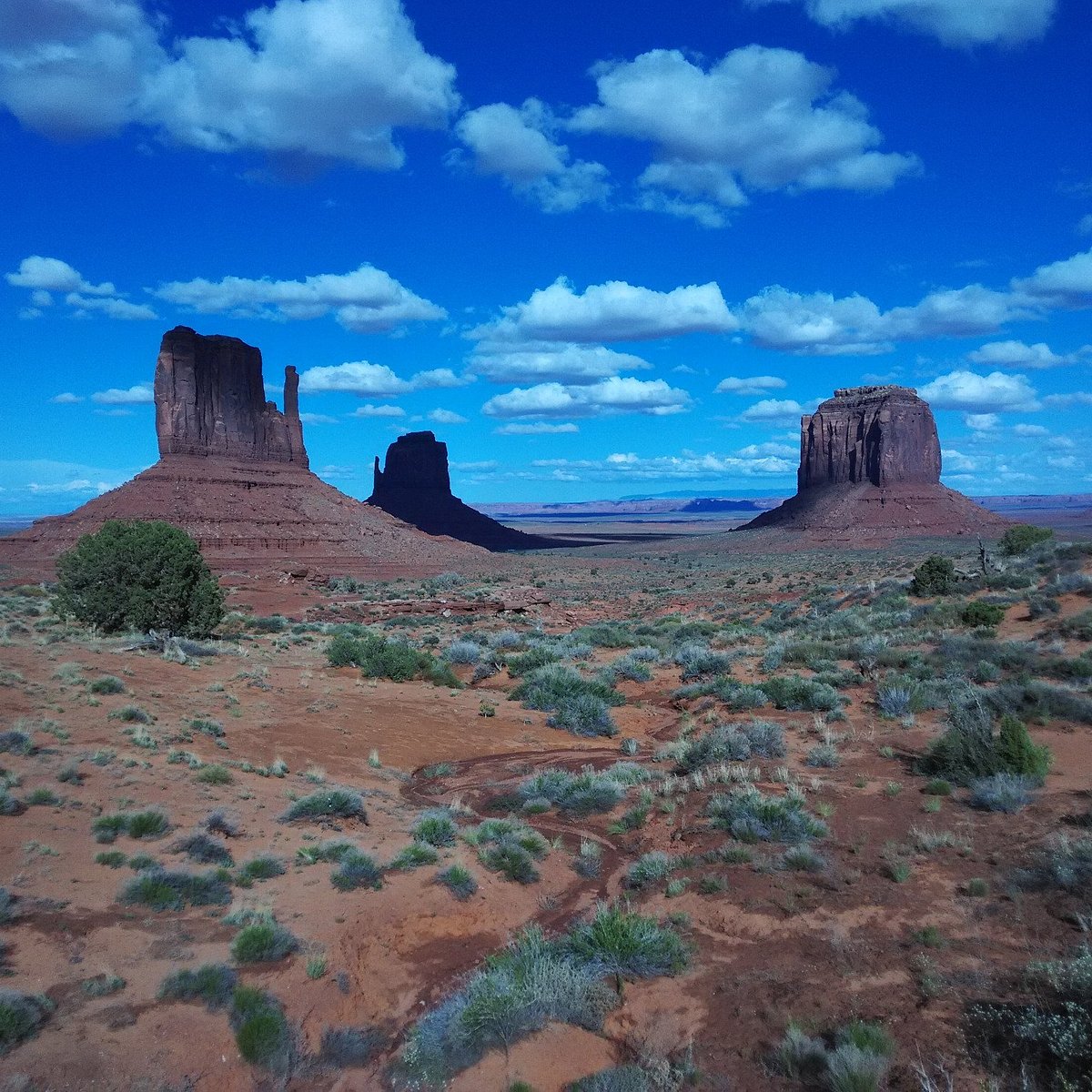 Wildcat Trail (Monument Valley) - All You Need to Know BEFORE You Go