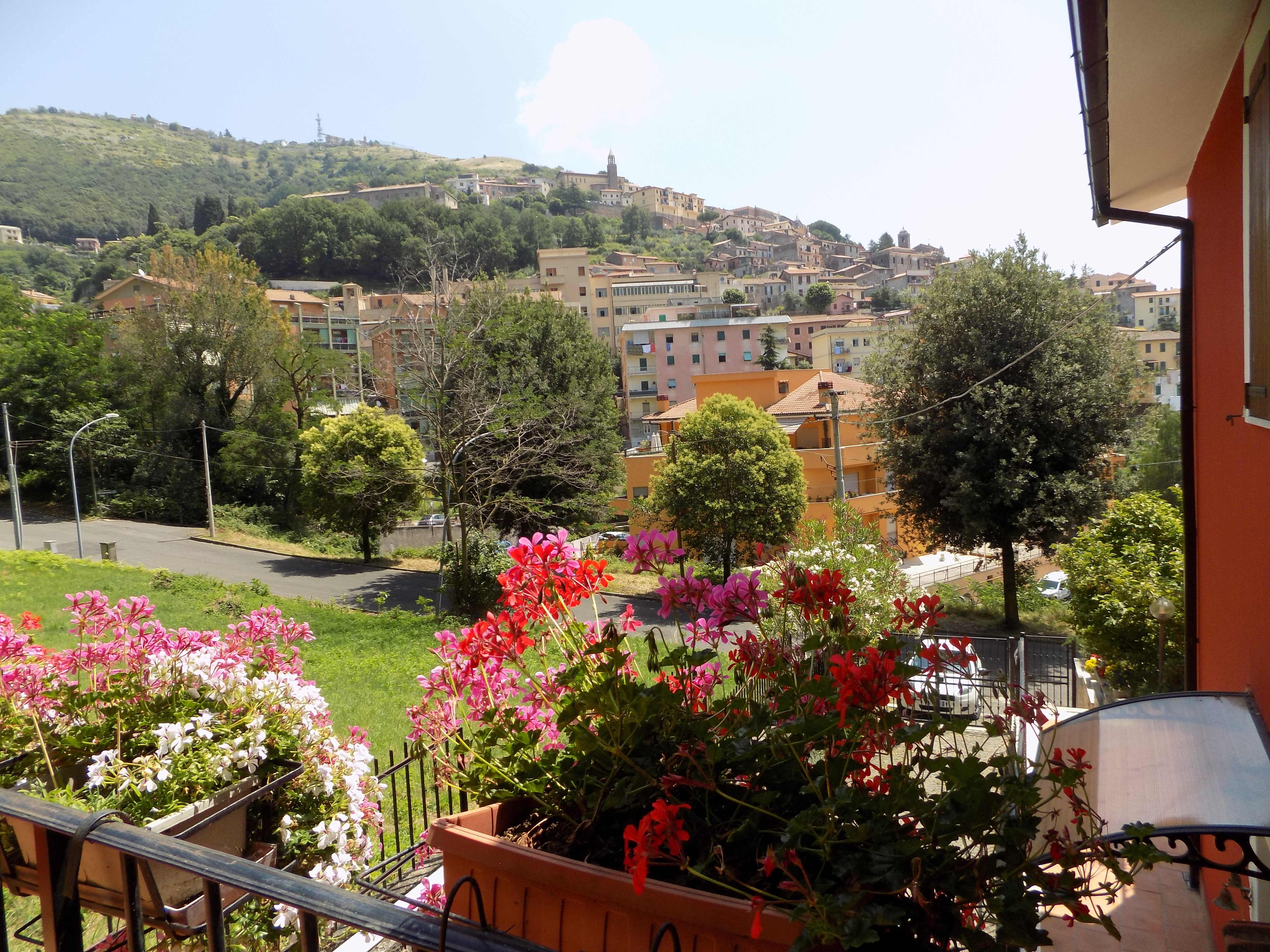 B&B IL GIARDINO DELLE CAMELIE - Reviews (Palestrina, Italy)