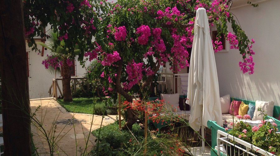 Garden in bloom