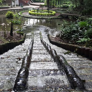 Jardin Botanico Francisco Javier Clavijero (Xalapa) - All You Need to Know  BEFORE You Go