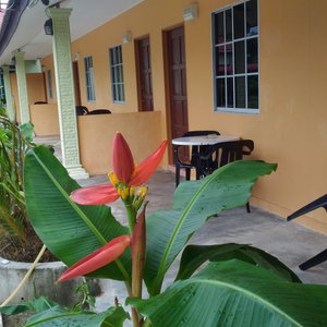 Chalet Terrace