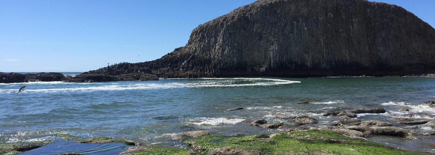 Seal Rock Tide Pool