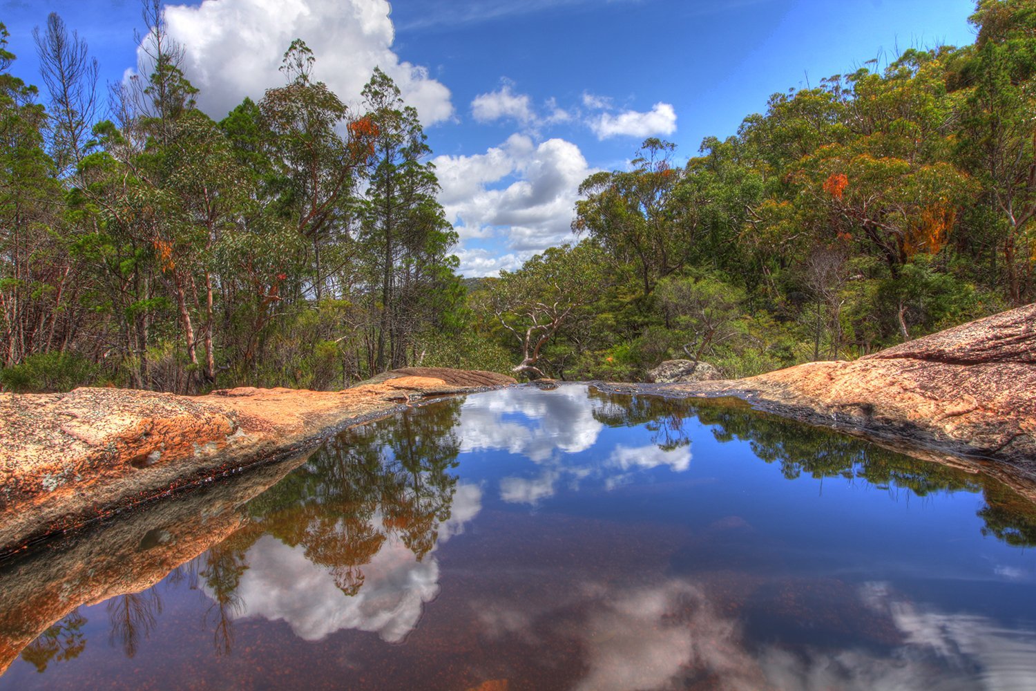 Girraween Environmental Lodge by null