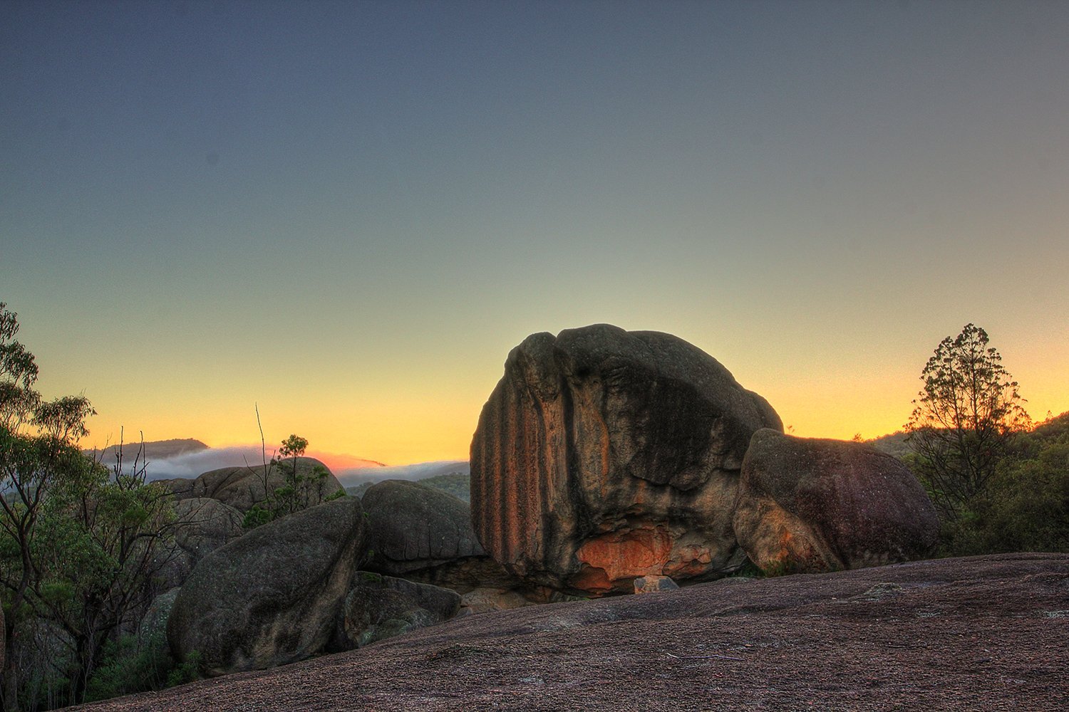 Girraween Environmental Lodge by null