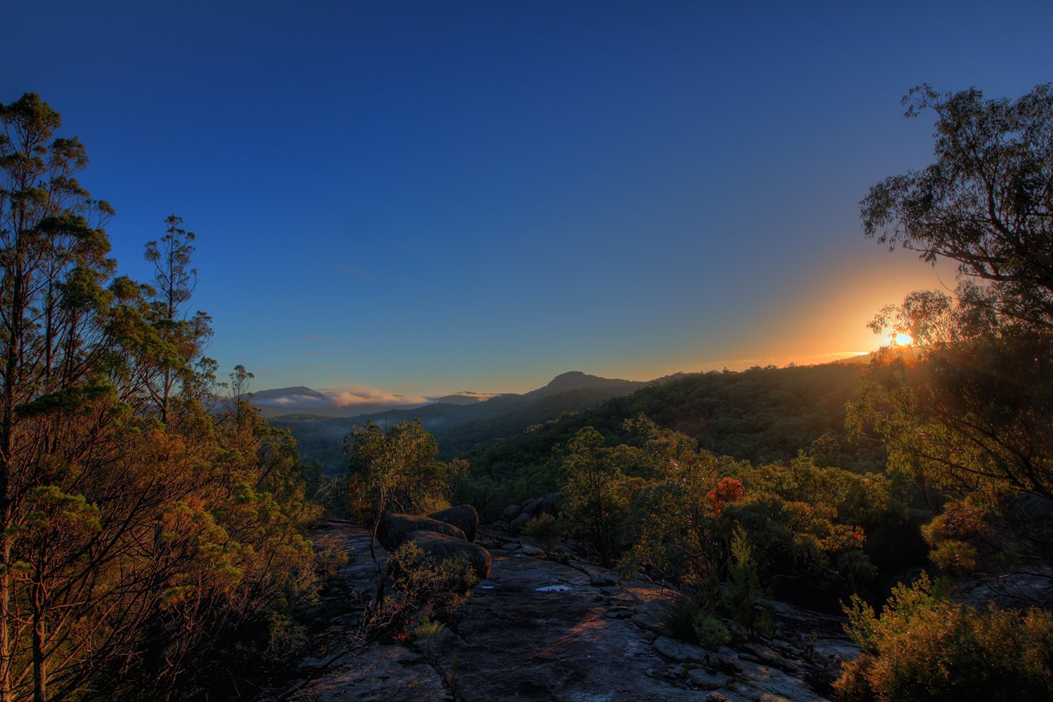 Girraween Environmental Lodge by null