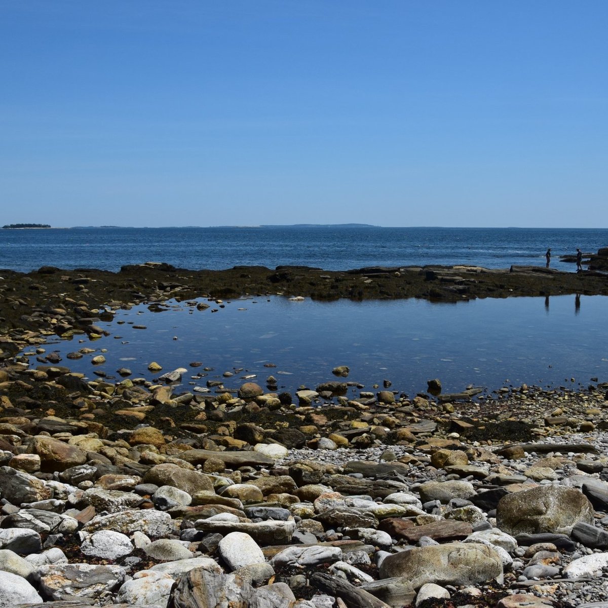 Rachel Carson Salt Pond Preserve - All You Need to Know BEFORE You Go ...