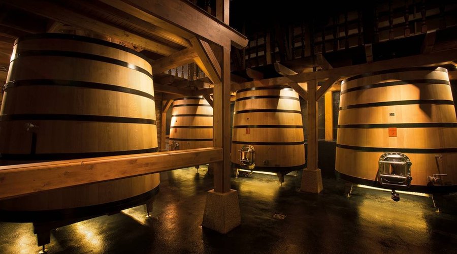 BODEGAS IZADI