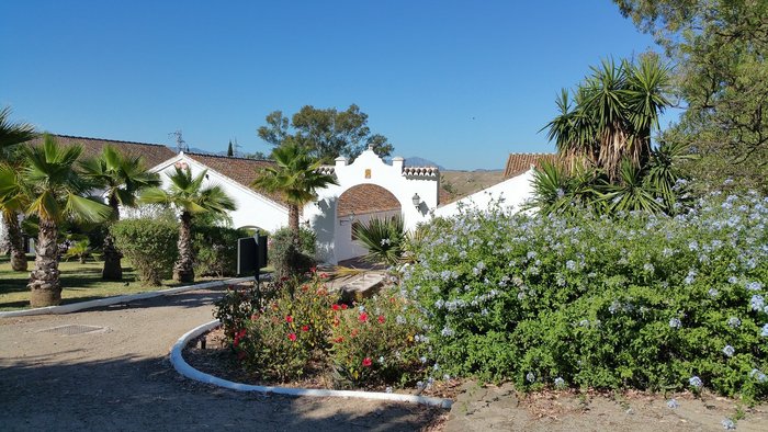 Imagen 2 de Hotel Cortijo del Arte