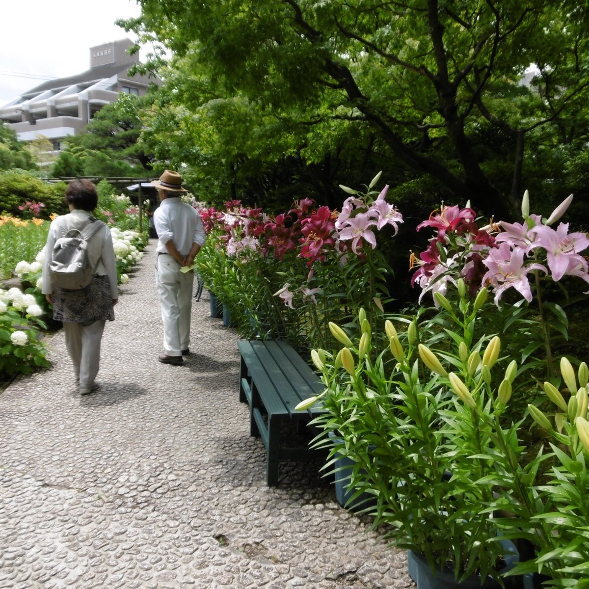 21年 筥崎宮花庭園 行く前に 見どころをチェック トリップアドバイザー