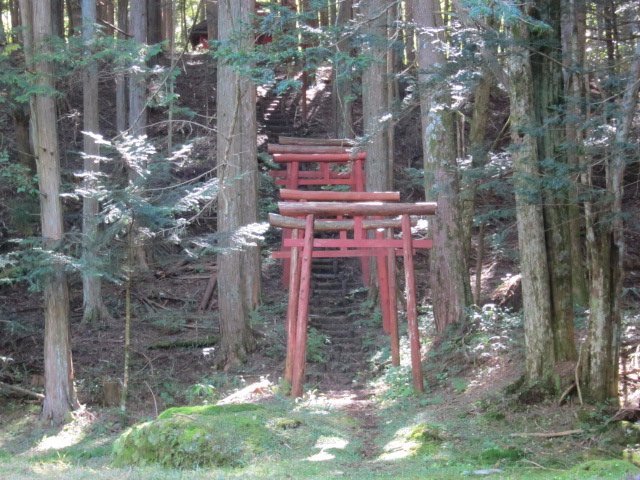 Shingen Takeda of Namiai Barrier Mark - All You Need to Know BEFORE You ...