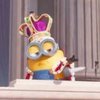 King_Bob_Rules