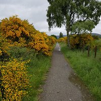 The cycle track between Ballater and Adoyne