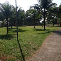 O gramado bem cuidado
