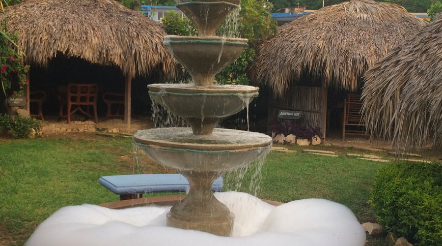 Palm covered seating and fountain