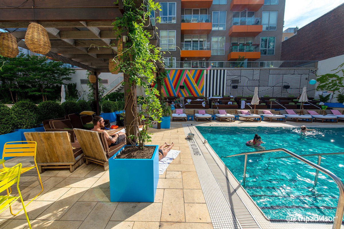 CODA Williamsburg Pool Pictures & Reviews - Tripadvisor